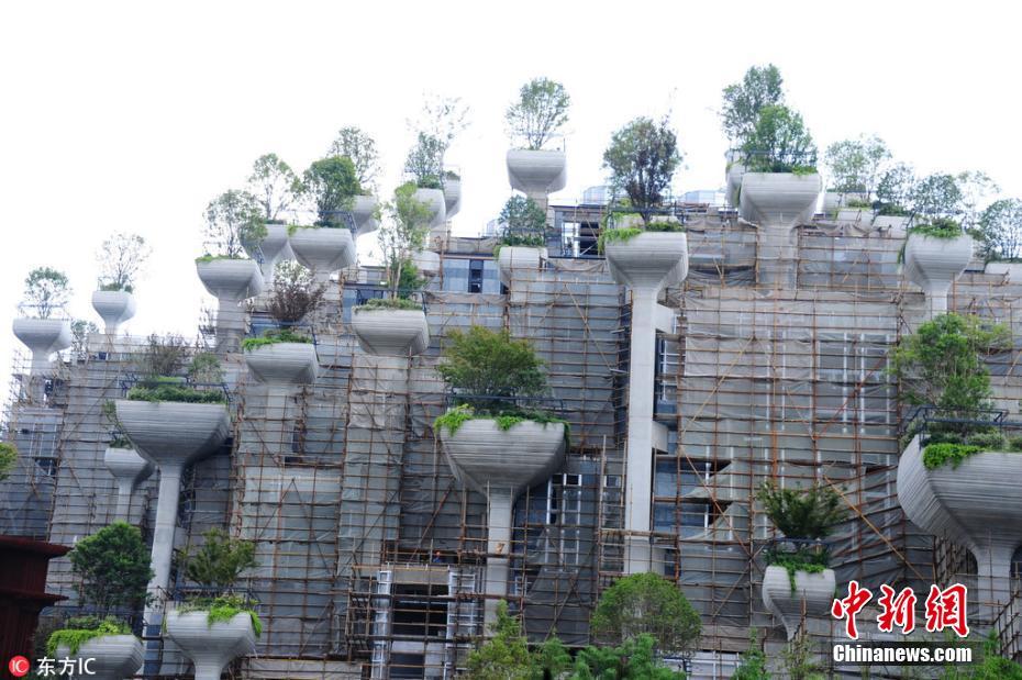上海一建筑群绿植错落有致似空中花园