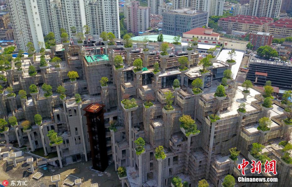 上海一建筑群绿植错落有致似空中花园