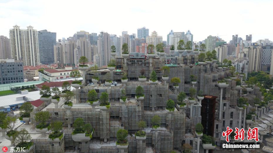上海一建筑群绿植错落有致似空中花园