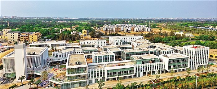 航拍江东新区1.5级企业港项目（一期）。图片来源：南国都市报 汪承贤/摄